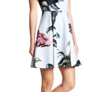 Ted Baker ruffle-front skater floral mini dress in pale blue